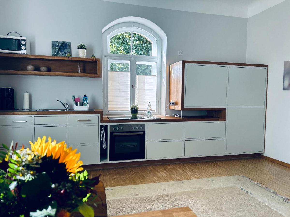 Schlosspark Apartment I 80Qm I 3 Betten I Bei Dresden Heidenau  Dış mekan fotoğraf